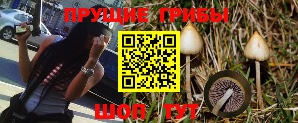 Метадон Ахтубинск
