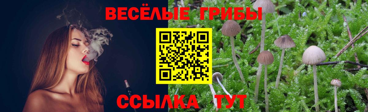 Галлюциногенные грибы Magic Shrooms  Вход с VPN  Ахтубинск 